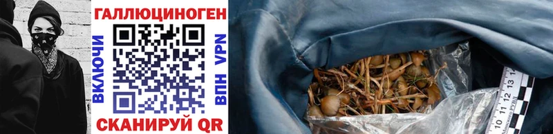 цены наркотик  ссылка на мегу как войти  Псилоцибиновые грибы мицелий  Армавир 